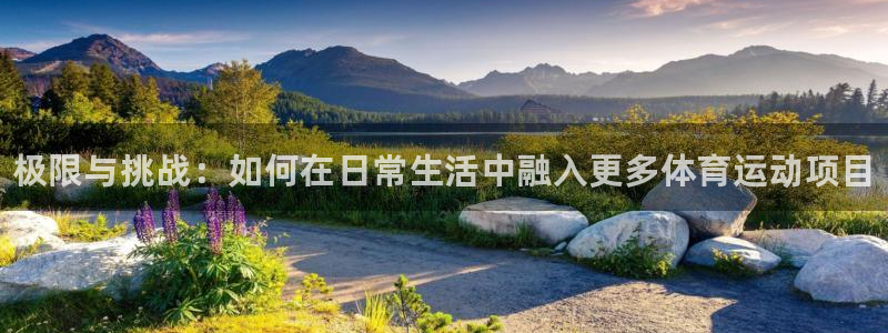 公海赌赌船官网下载是干嘛的公司：极限与挑战：如何在日