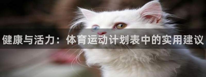 公海赌赌船官方正版app集团E.ON：健康与活力：体