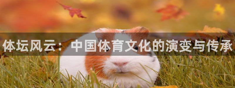 海南公海赌赌船官网下载：体坛风云：中国体育文化的演变
