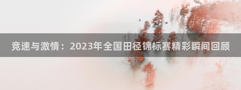 公海赌赌船官网下载平台假的吗是真的吗吗：竞速与激情：