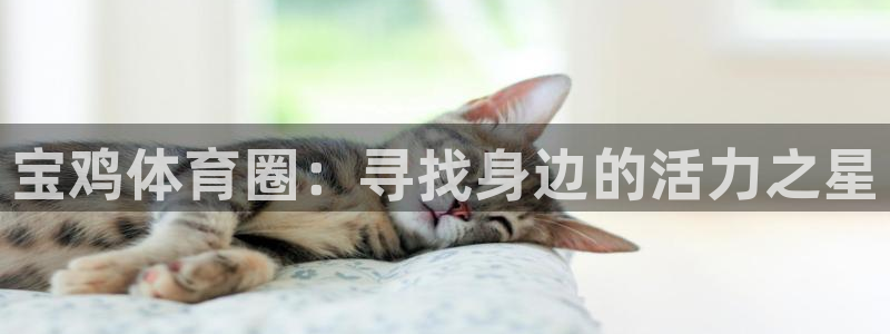 公海赌赌船官方正版app集团官网网址：宝鸡体育圈：寻