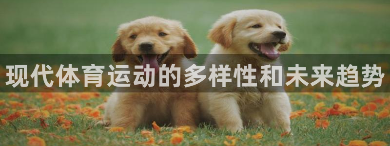 公海赌赌船官网下载软件：现代体育运动的多样性和未来趋