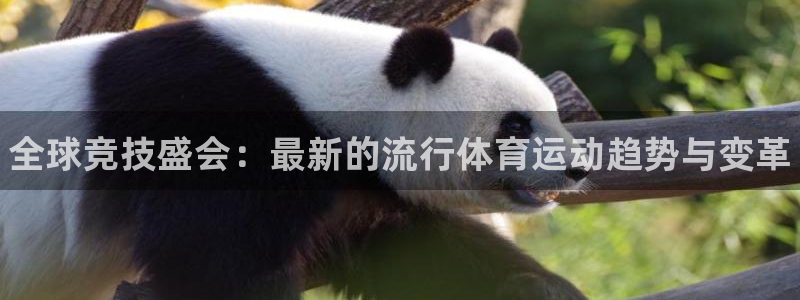 公海赌赌船官网下载注册：全球竞技盛会：最新的流行体育