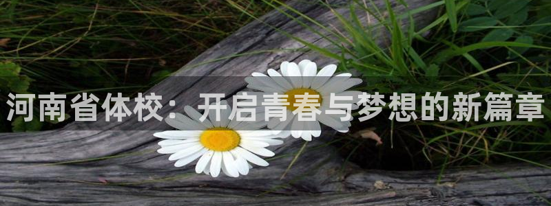 公海赌赌船官网下载招商电话：河南省体校：开启青春与梦