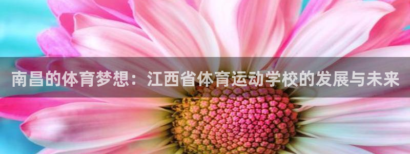公海赌赌船官方正版app娱乐