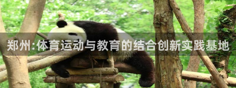 公海赌赌船官网下载招商电话号码查询是多少：郑州:体育运动与教