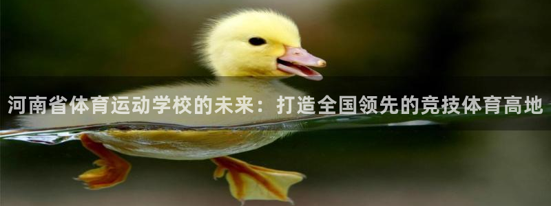 公海赌赌船官方正版app神州：河南省体育运动学校的未来：打造
