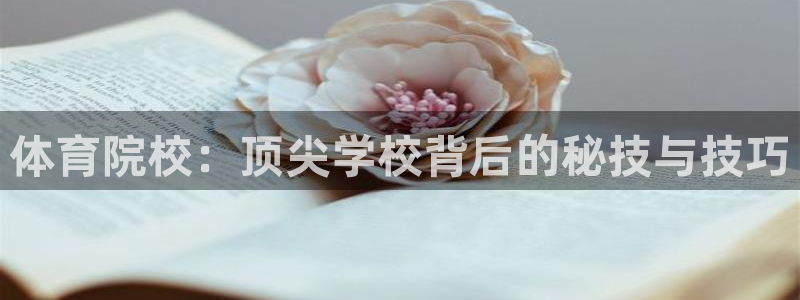 公海赌赌船官方正版app集团