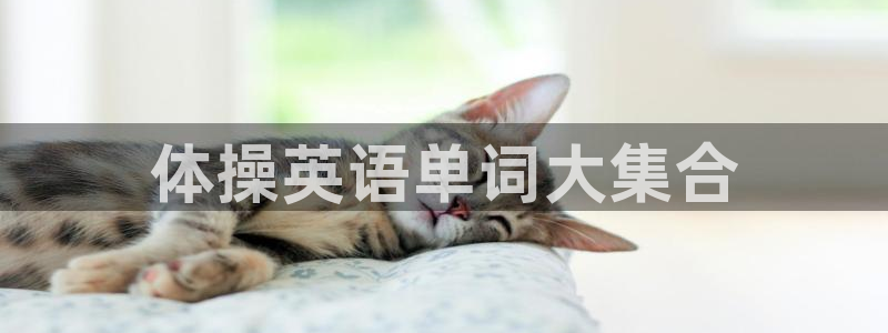 公海赌赌船官网下载平台注册流程视频：体操英语单词大集