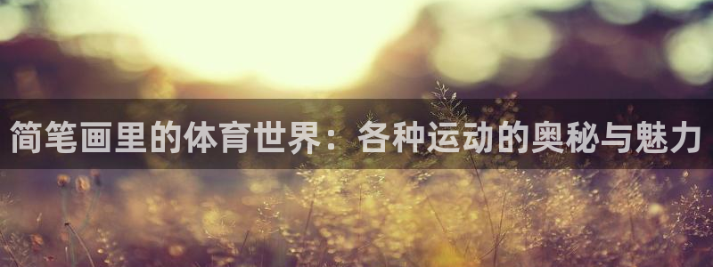 公海赌赌船官网下载平台假的吗是真的吗：简笔画里的体育世界：各