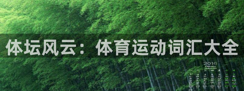 公海赌赌船官方正版app集团E.ON：体坛风云：体育运动词汇