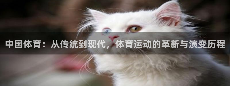 公海赌赌船官网下载平台是正规平台吗知乎：中国体育：从传统到现