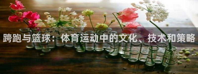 公海赌赌船官方正版app娱乐网站