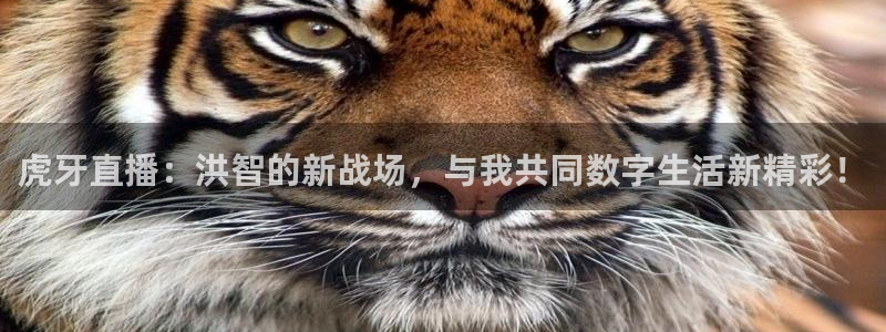 飞速篮球直播：虎牙直播：洪智的新战场，与我共同数字生活新精彩！