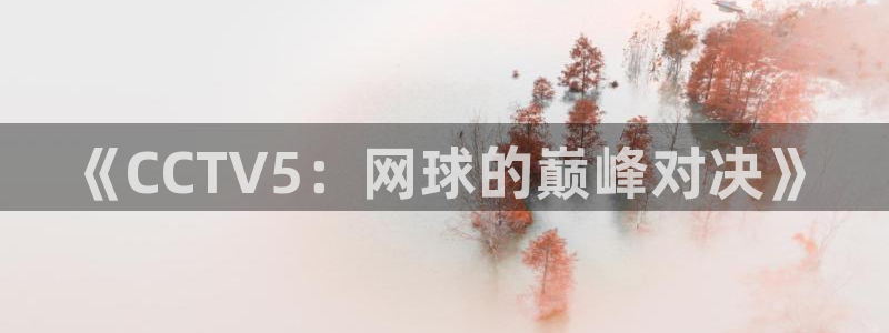 飞速体育nba直播：《CCTV5：网球的巅峰对决》