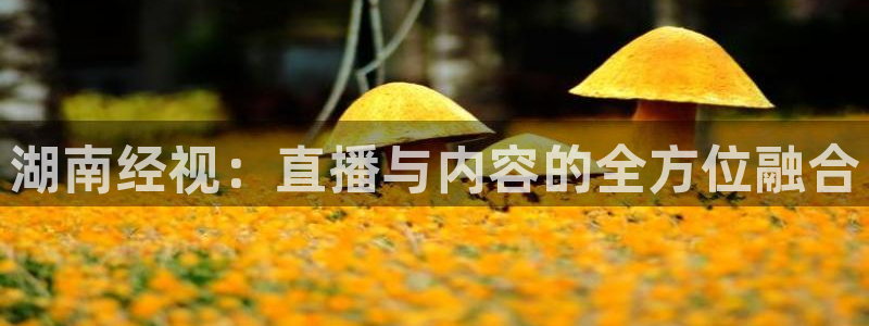 飞速体育：湖南经视：直播与内容的全方位融合