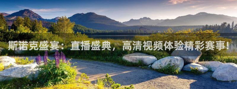 飞速直播nba免费观看：斯诺克盛宴：直播盛典，高清视频体验精彩赛事!