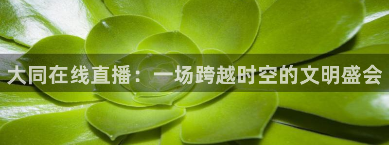 飞速nba直播吧