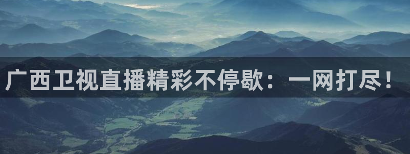 飞速直播体育app