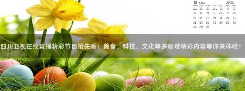 飞速直播体育cba